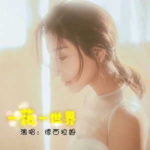 一花一世界 (伴奏)