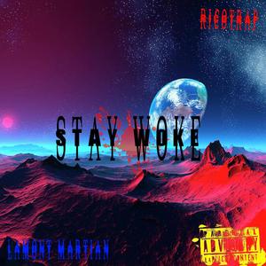 Stay Woke (feat. Ricotrap) [Explicit]