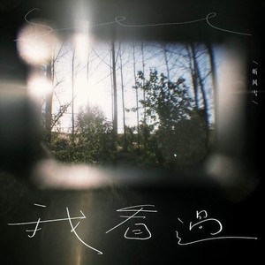 我看过 (亲爱的不要再说你还爱我)