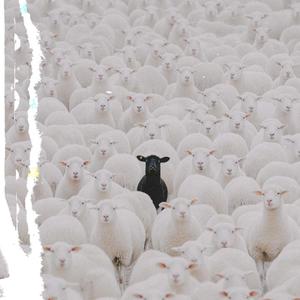 Leeko - Diamondz & Pearls (Explicit)