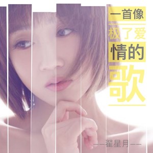 一首像极了爱情的歌 (DJ版)