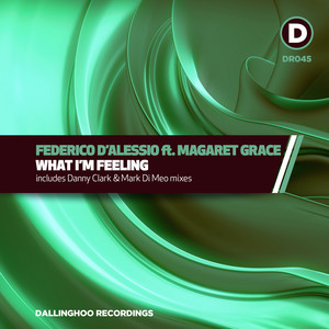 What I'm Feeling (Danny Clark Remix)