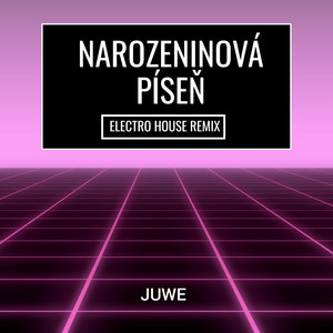 Narozeninová Píseň (Electro House Remix)