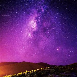 Fixation (feat. Proc)