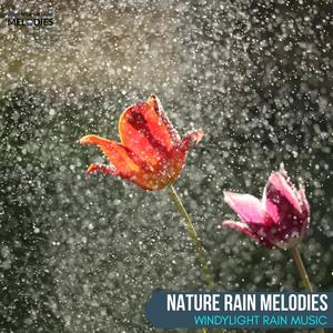 Nature Rain Melodies - WindyLight Rain Music