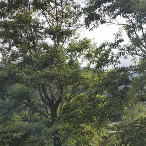 时间在流逝
