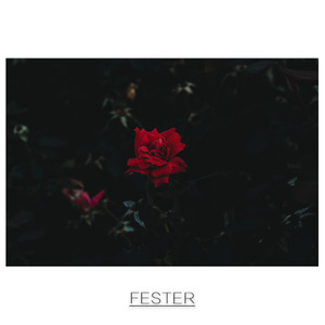 Fester