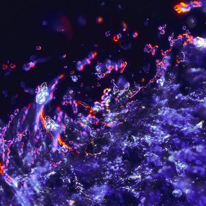 Криптофристайл (Explicit)