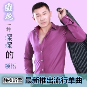 痛是一种深深的领悟(静夜听雪）