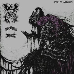 ROSE OF ARIANDEL (Explicit)