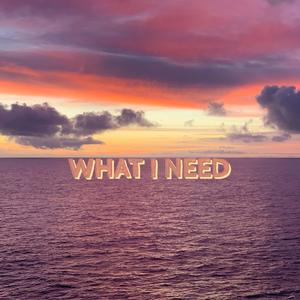 What I Need (Explicit)