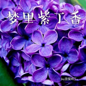 龚宝吉 - 梦里紫丁香