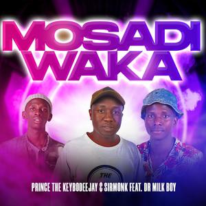 Mosadi Waka (feat. THE KEYBO, SirMonk & Dr Milk Boy)