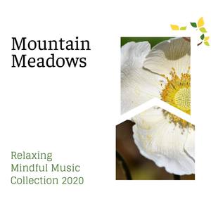 Mountain Meadows - Relaxing Mindful Music Collection 2020