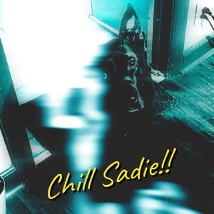 Chill Sadie!! (Explicit)