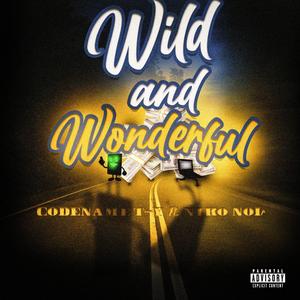 Wild & Wonderful (feat. Niko Noir) [Explicit]