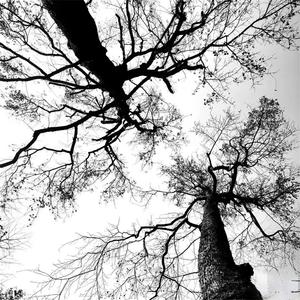 从新开始不是重新开始