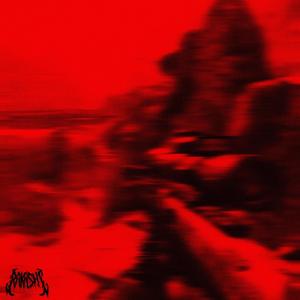 DSR 50 (Explicit)