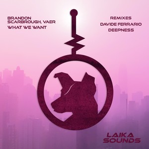What We Want (Davide Ferrario Remix)