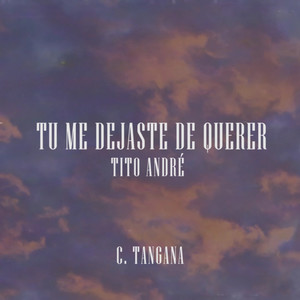 Tu Me Dejaste de Querer (Cover)