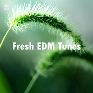 Fresh EDM Tunes