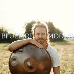 Bluebird Modus