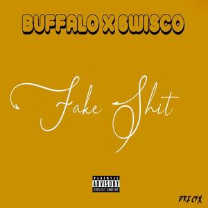Fake Shit(feat. 6wisco) (Explicit)