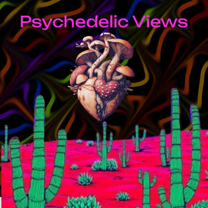 Psychedelic Views (feat. StinkyT) (Explicit)