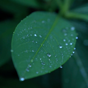 山间小屋雨天 雷声不断