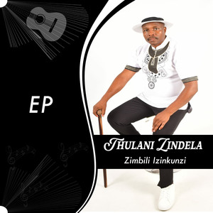 Zimbili Izinkunzi
