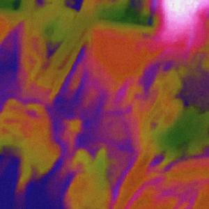 FACE (feat. ben ira) (Explicit)