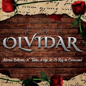 Te voy a olvidar (feat. Tadeo hijo del rey de corazones)