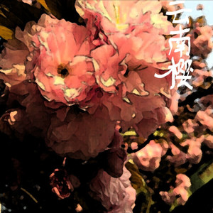 云南樱