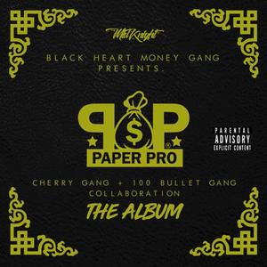 Paper Pro (Explicit)