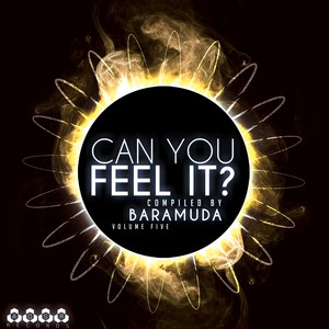 Can You Feel It?, Vol. 5 - Compiled By Baramuda