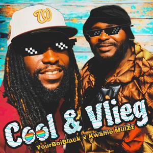 Cool & Vlieg (feat. Kwame Mulzz)