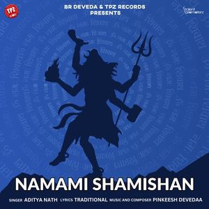 Namami Shamishan