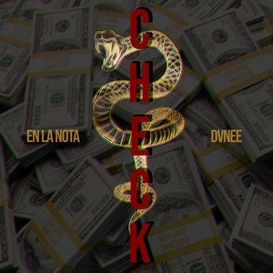 Check (Explicit)