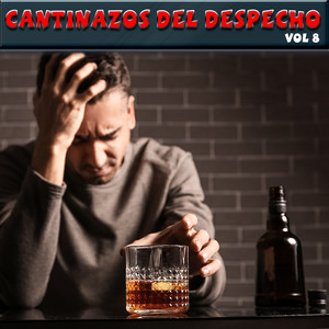 Cantinazos Del Despecho, Vol.8