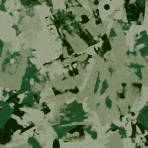 Follow em (feat. Rezzie) (Explicit)