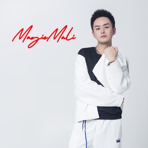 华丽进行曲封面