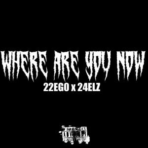 Where are you now (feat. 24elz)