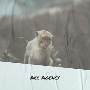 Acc Agency