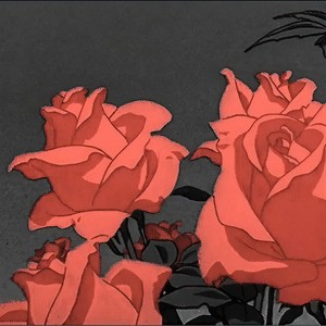 Heaven Flower/天堂花