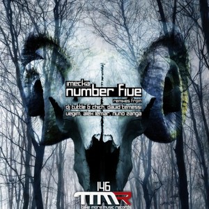 Number Five (Dj Tuttle & Chich Remix)