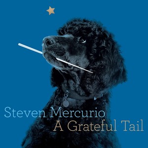 Steven Mercurio: A Grateful Tail