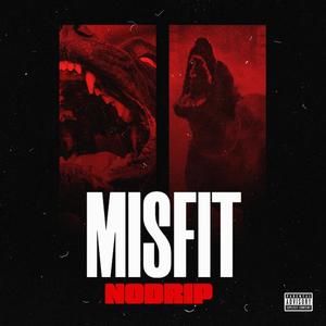 MISFIT (Explicit)