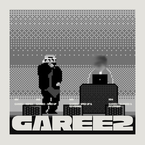 Garee2 (Remix & Variations)