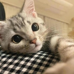 一半一半-迟木晴子