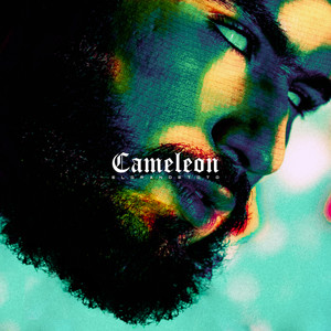 Caméléon (Explicit)